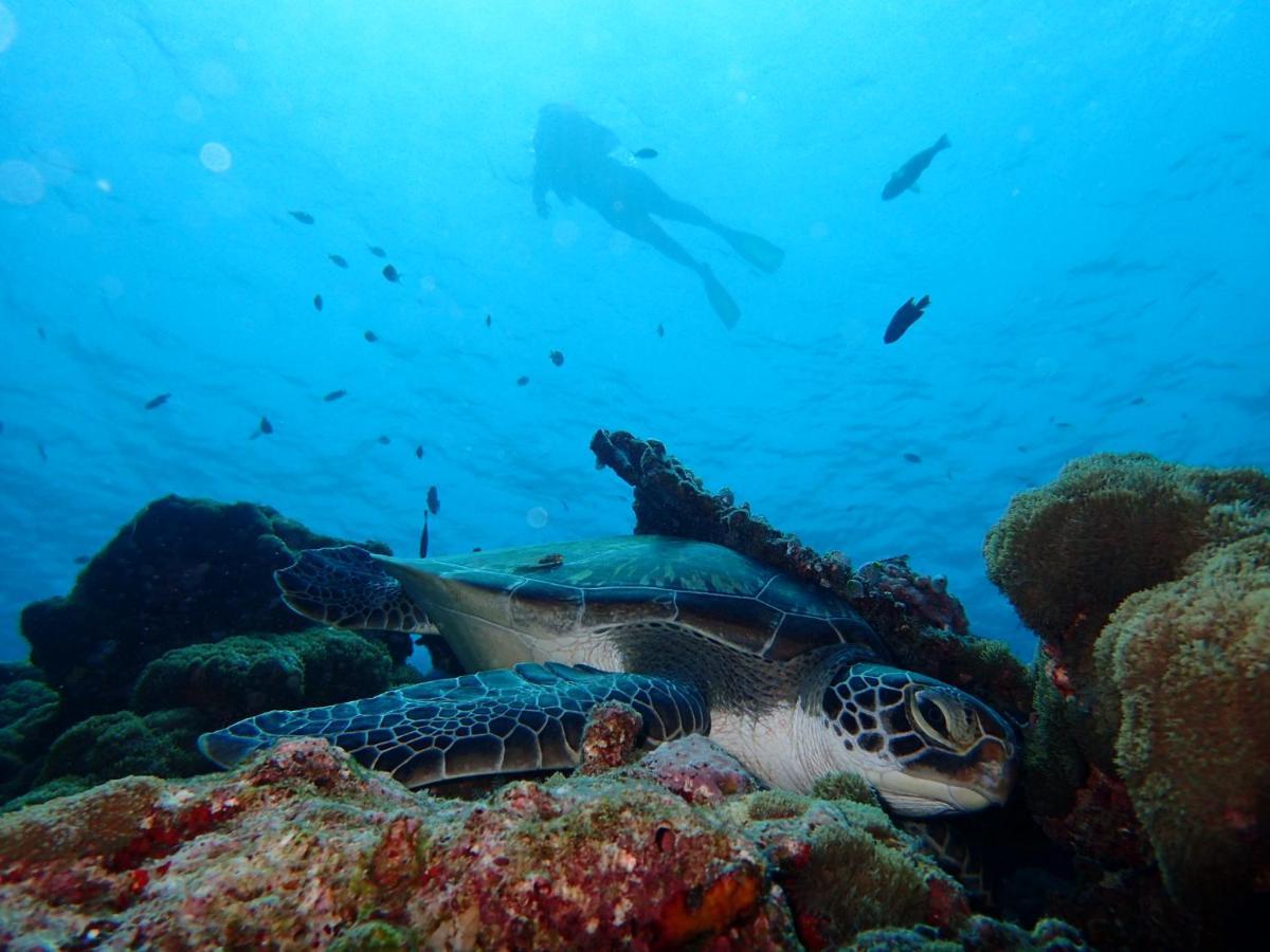 Manta Reserve Maalhos  Luaran gambar