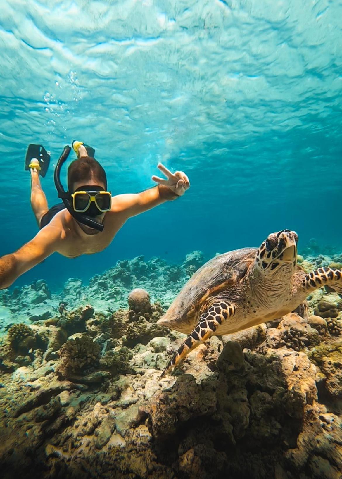 Manta Reserve Maalhos  Luaran gambar